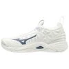 Carolina Sports Center VOLLEYBALL MIZUNO WAVE MOMENTUM LOW 2 WOMENS