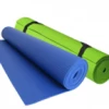 Carolina Sports Center TRAINING EQUIPMENT TAMANACO YOGA MAT 6MM APPLE GREEN
