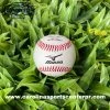 Carolina Sports Center MIZUNO MB380 BASEBALL