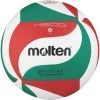 Carolina Sports Center MOLTEN VOLLEYBALL 4500